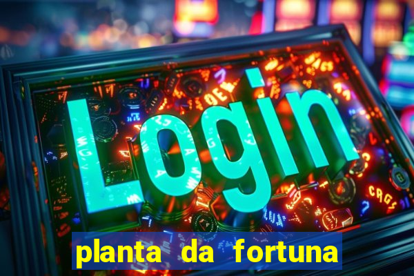 planta da fortuna e felicidade