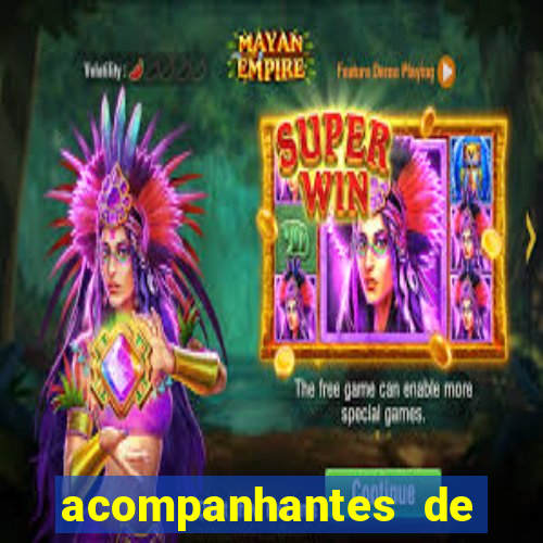 acompanhantes de nova mutum