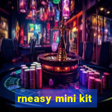 rneasy mini kit