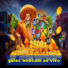 gatas webcam ao vivo