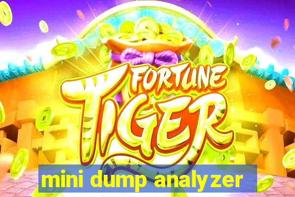 mini dump analyzer