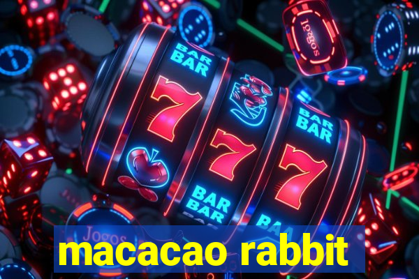 macacao rabbit