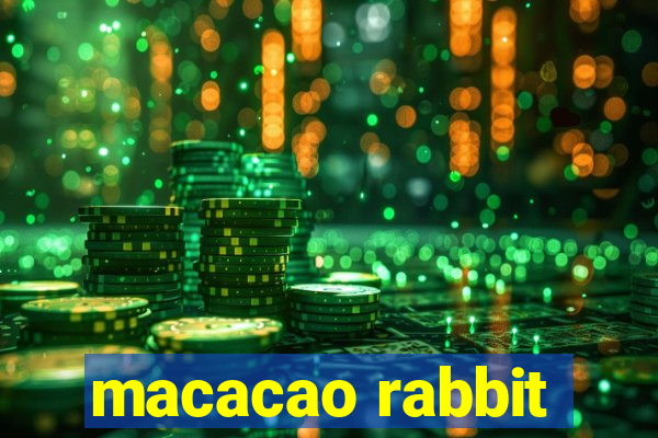 macacao rabbit