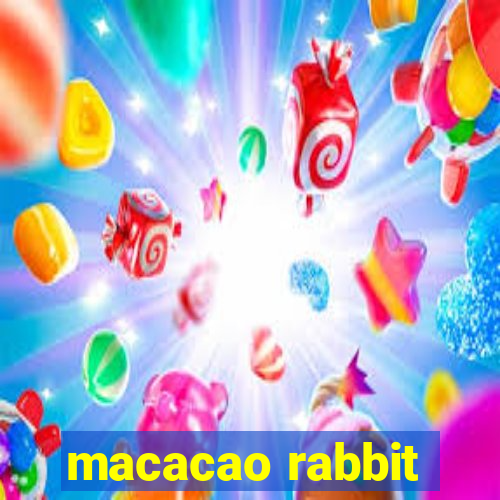 macacao rabbit