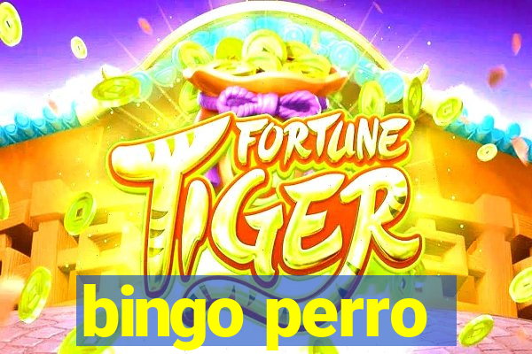 bingo perro