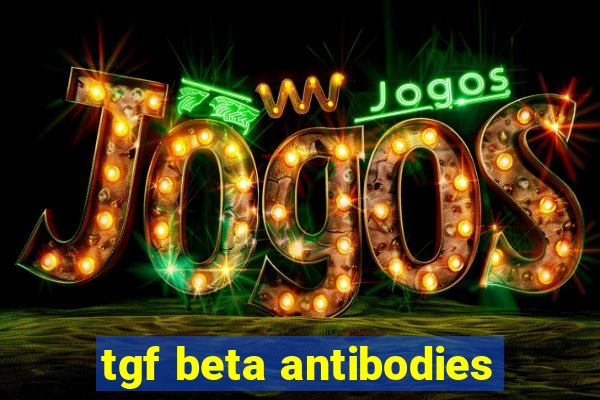 tgf beta antibodies