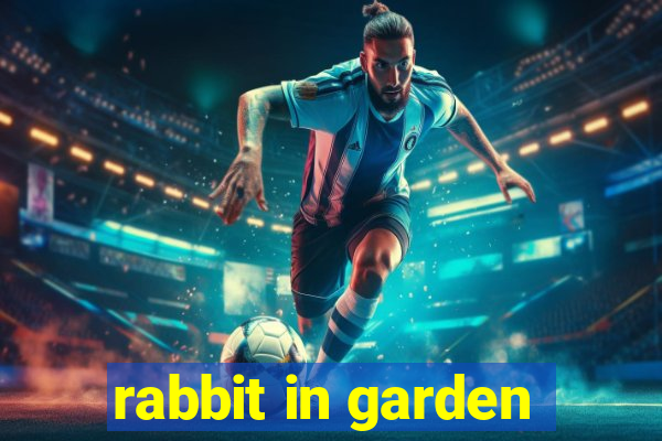 rabbit in garden