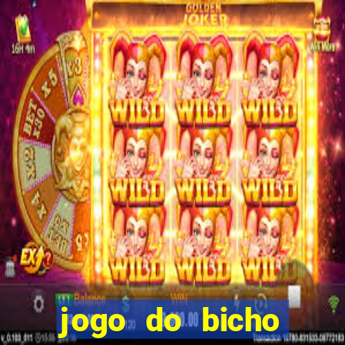 jogo do bicho crash bingo