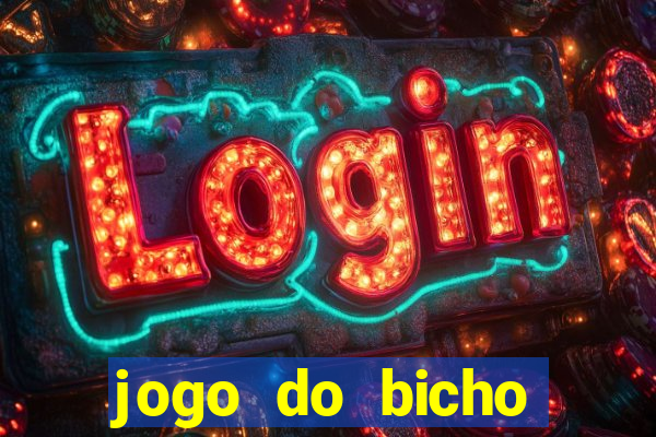 jogo do bicho crash bingo