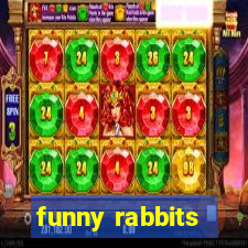 funny rabbits