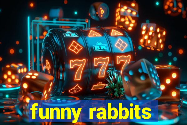 funny rabbits