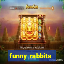 funny rabbits