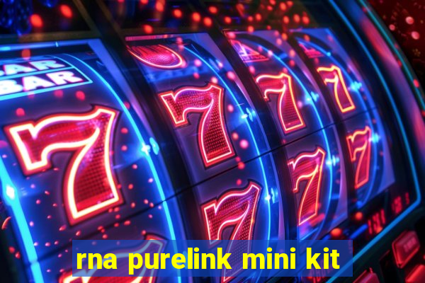 rna purelink mini kit