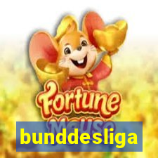 bunddesliga