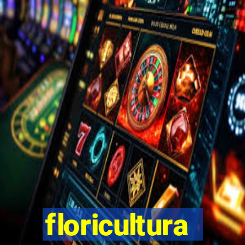 floricultura cruzeiro novo