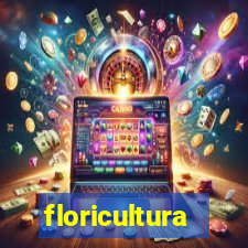 floricultura cruzeiro novo