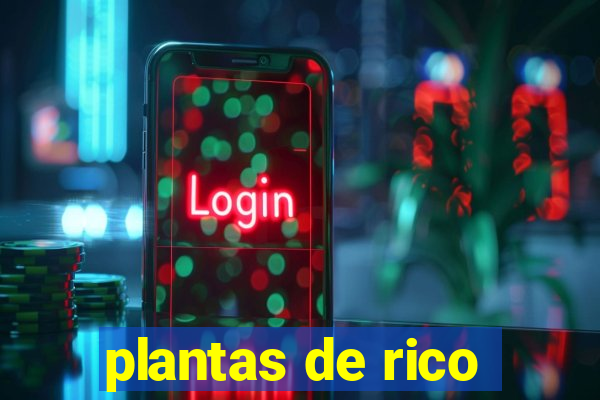 plantas de rico