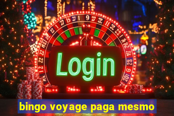 bingo voyage paga mesmo