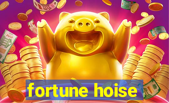 fortune hoise