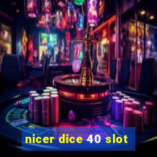 nicer dice 40 slot