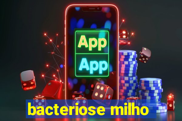 bacteriose milho