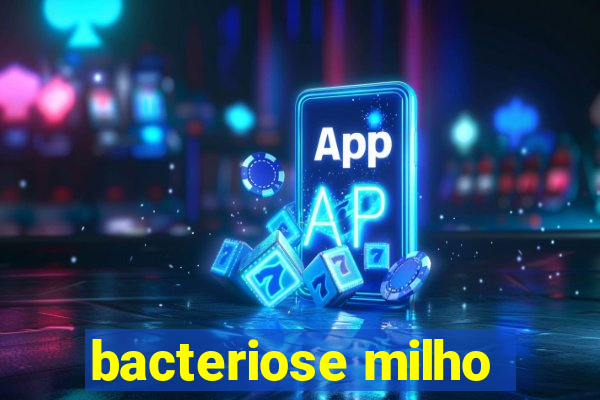 bacteriose milho