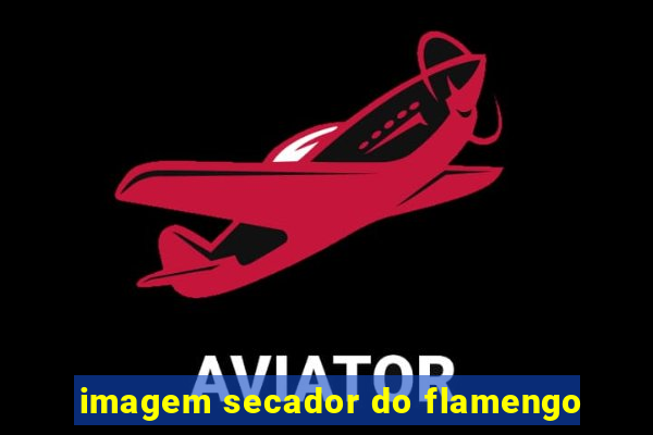 imagem secador do flamengo