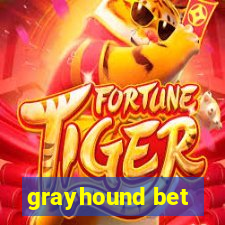 grayhound bet