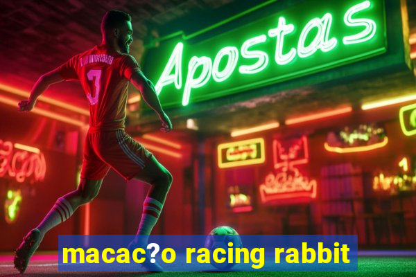 macac?o racing rabbit