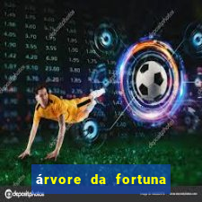 árvore da fortuna e felicidade como cuidar