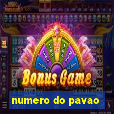 numero do pavao