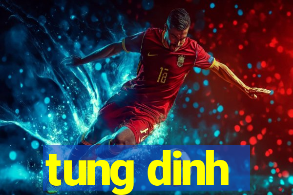 tung dinh