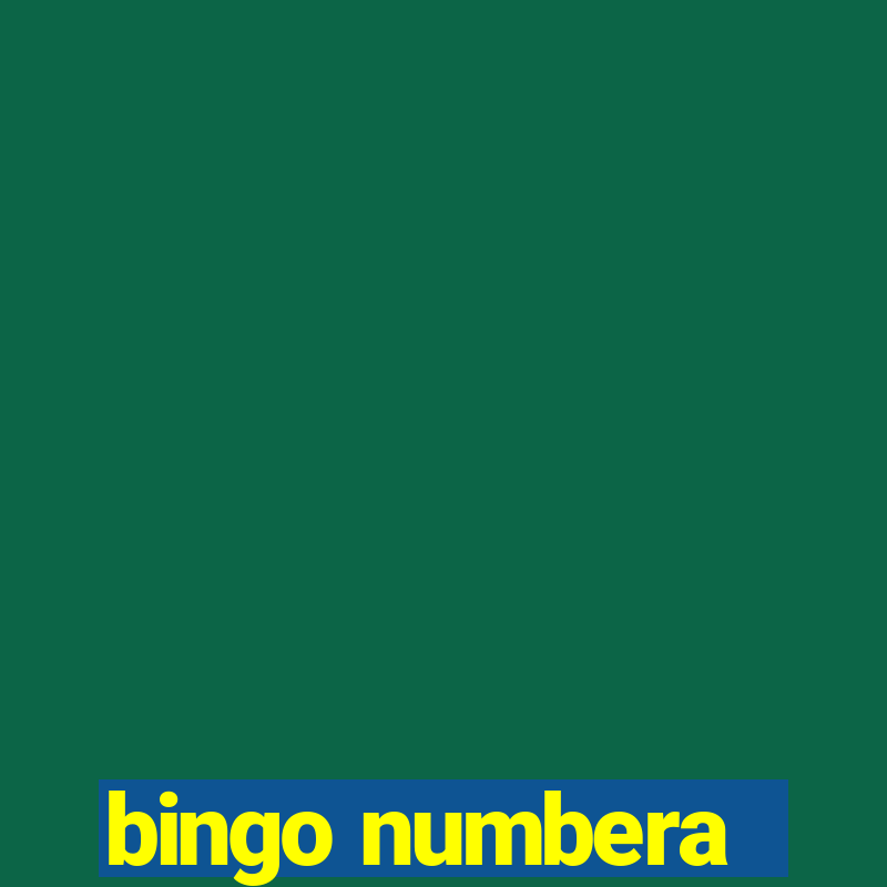 bingo numbera