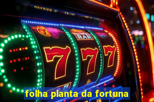 folha planta da fortuna