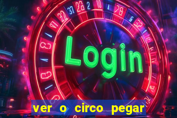 ver o circo pegar fogo significado