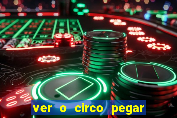 ver o circo pegar fogo significado