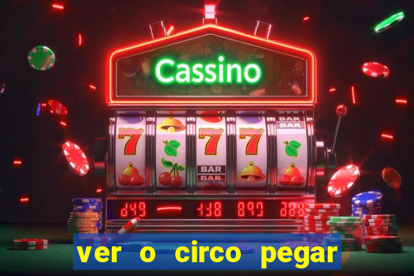 ver o circo pegar fogo significado