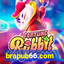 brapub66.com