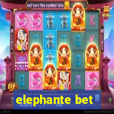 elephante bet