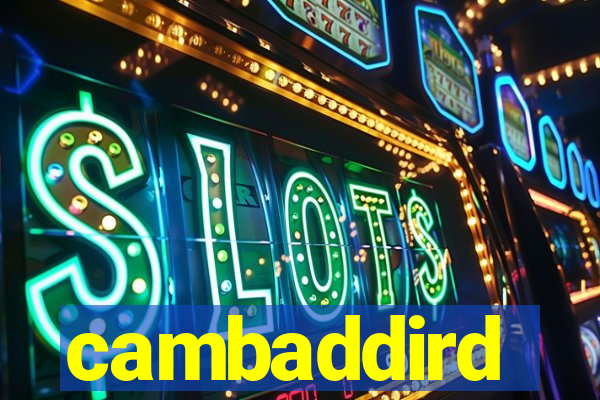 cambaddird