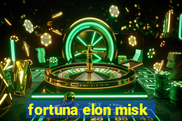 fortuna elon misk