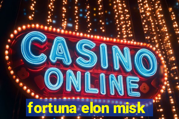 fortuna elon misk