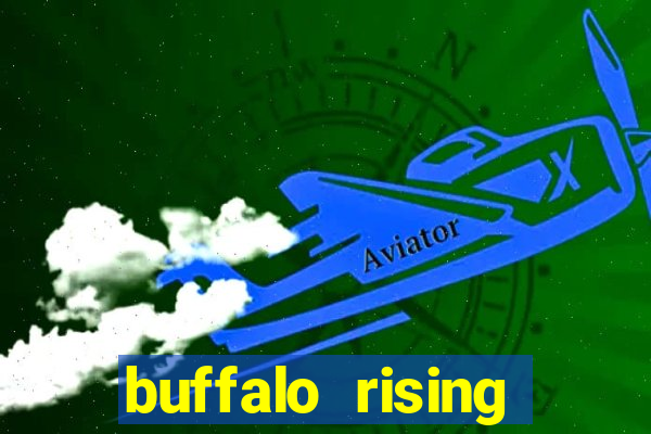 buffalo rising megaways slots