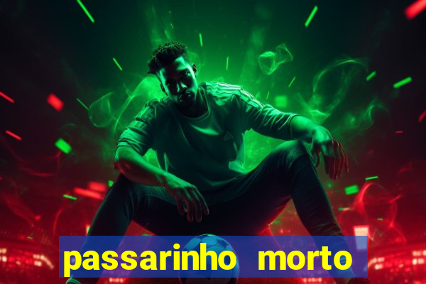 passarinho morto significado espiritual