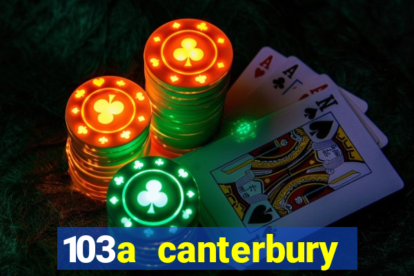 103a canterbury street casino nsw 2470