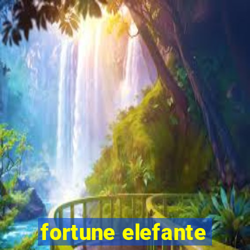 fortune elefante