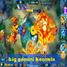 big gemini kennels