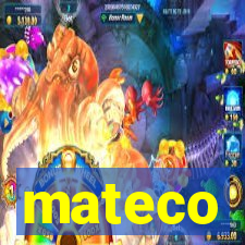 mateco