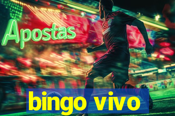 bingo vivo