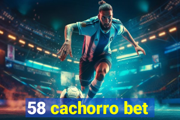 58 cachorro bet